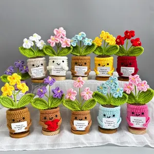 Handmade Crochet Forget me not Flowers with Hugging Heart,Emotional Support Potted Plant,Supportive Gift Au Flower,Mother's Day gift