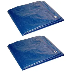 Foremost Tarp  8 x 10 ft. Cut Size of Tarp, Blue