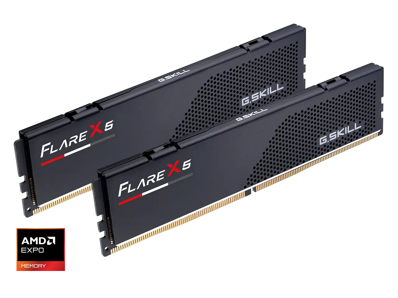 G.SKILL Flare X5 16GB (2 x 8GB) 288-Pin PC RAM DDR5 6000 (PC5 48000) Desktop Memory Model F5-6000J3038F8GH2-FX5 G.SKILL Flare X5 16GB (2 x 8GB) 288-Pin PC RAM DDR5 6000 (PC5 48000) Desktop Memory Model F5-6000J3038F8GH2-FX5