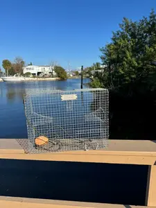 PinFish Traps Durable Fishing Mesh 16x14x8 Inches Easy-to-Use Fishing Tools for Beginners & Experienced Anglers