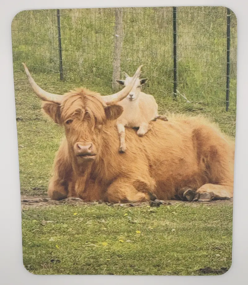 Farm Life Brand Mouse Pad - Portrait of Belle the Highland Cow with Barry the Goat - Mini Cows & Goats - Quirky Farm Life Design for Desk Decor