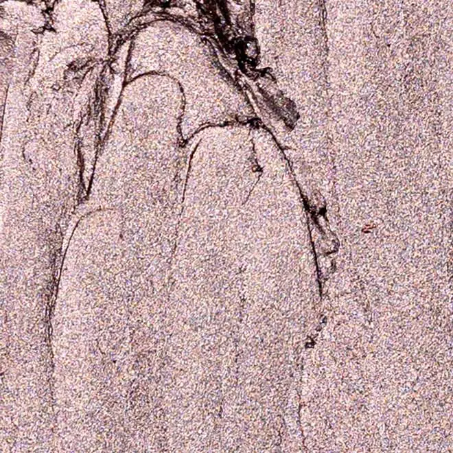 Silver Mauve Shimmer ES06