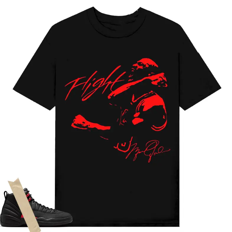 23 MJ Victory Graphic 12 Retro Bloodline , infrared 6s T-Shirt, Shirt To Match sneaker Streetwear Graphic Shirt Men Women
