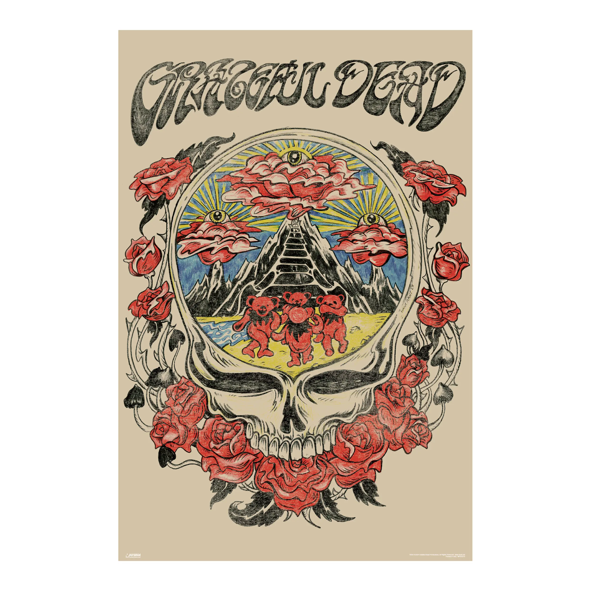 Grateful Dead – Skull Vision 24x36 Unframed Poster