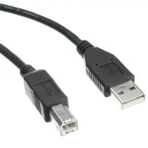 Cable Wholesale  Black USB 2.0 Printer & Device Cable,Type A Male to Type B Male - 1 ft., Usb Connection, Pure Copper, 1 Foot Long