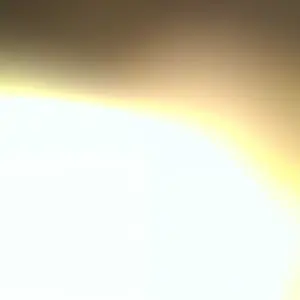 review image 5