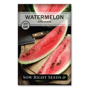 Allsweet Watermelon