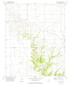 Aragon Hill New Mexico USGS Topographic Quadrangle Map, 1977, 1:24000