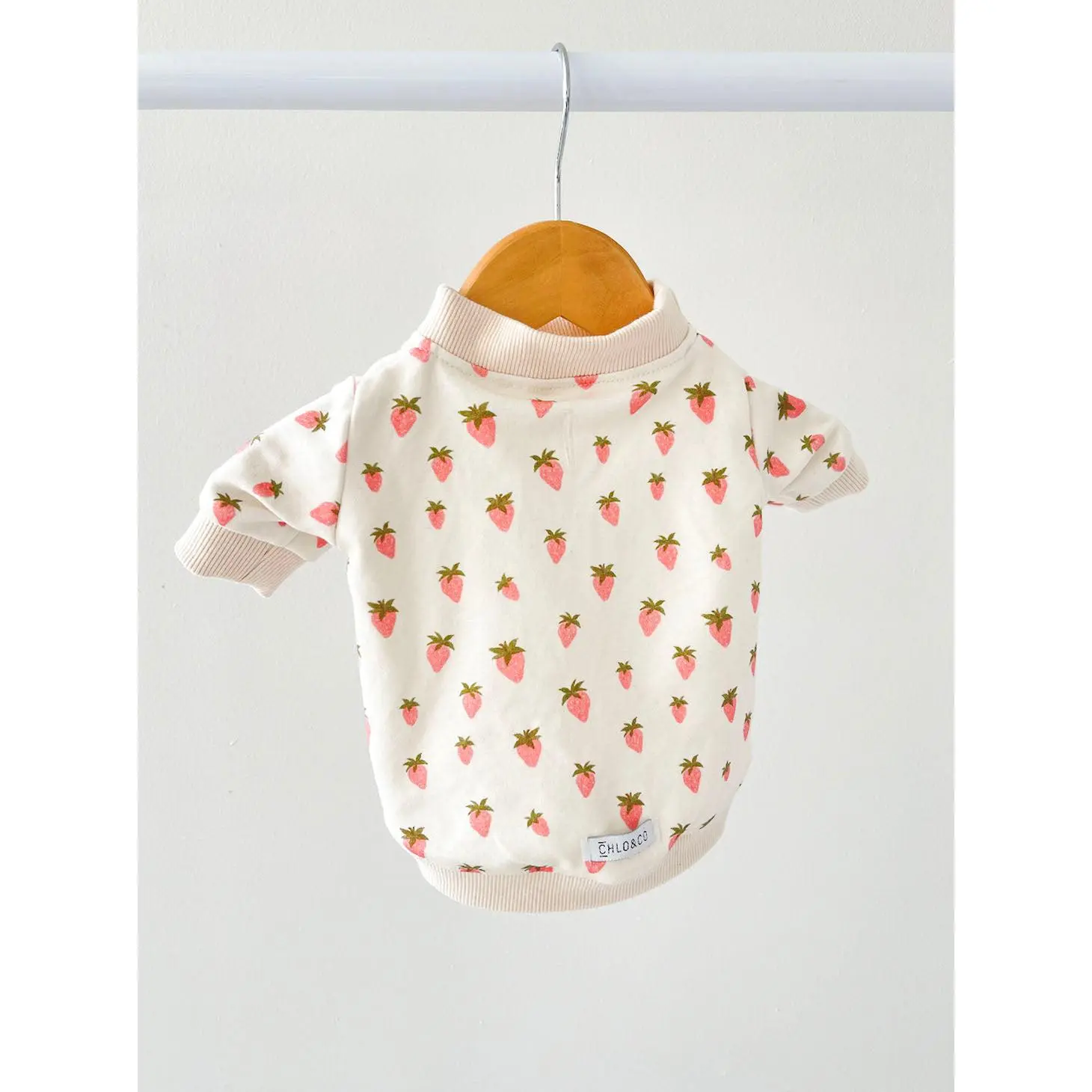 Shortcake Dog Sweatshirt