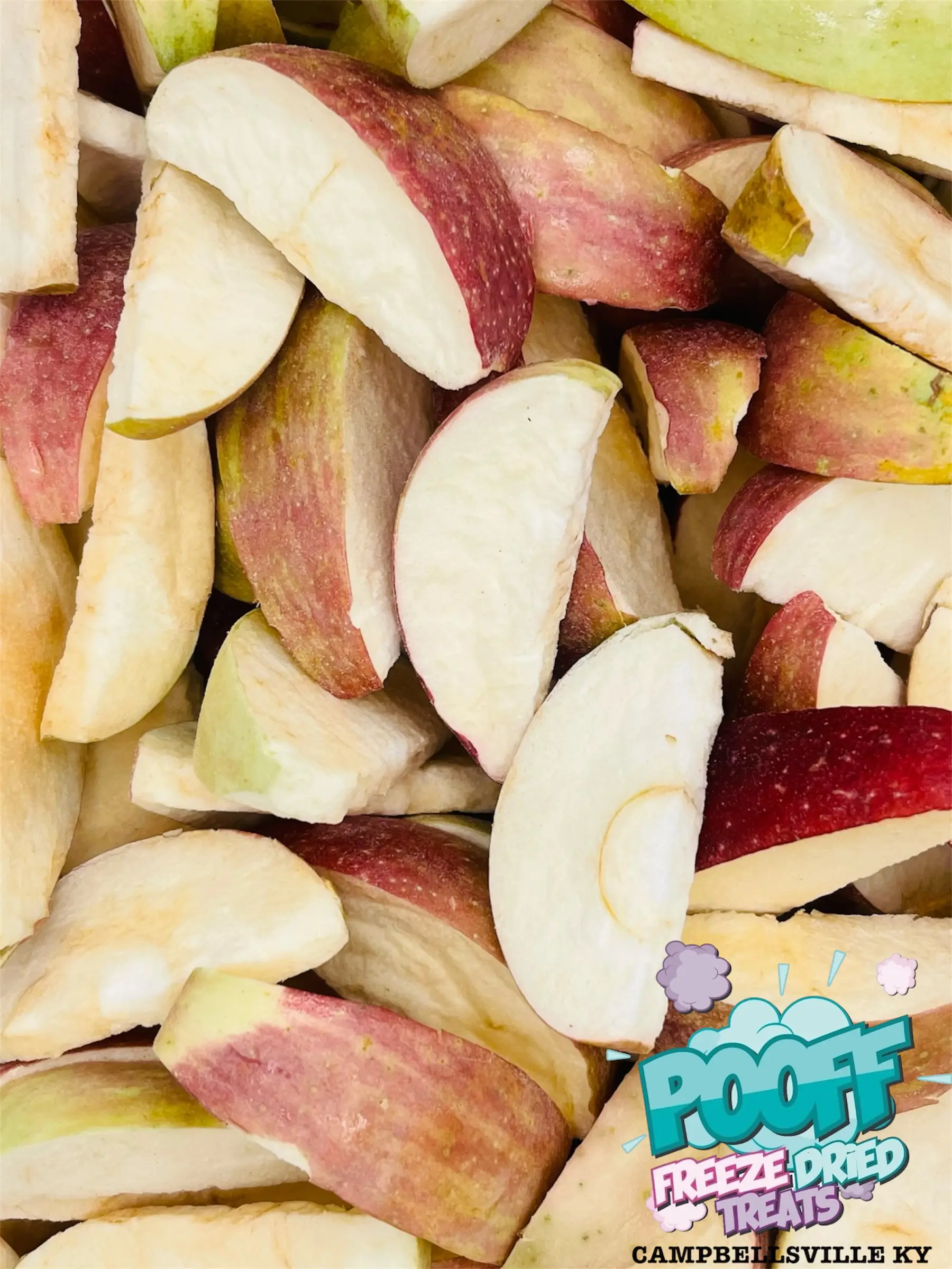 Freeze Dried Honeycrisp Apple Freeze Dried Honeycrisp Apple
