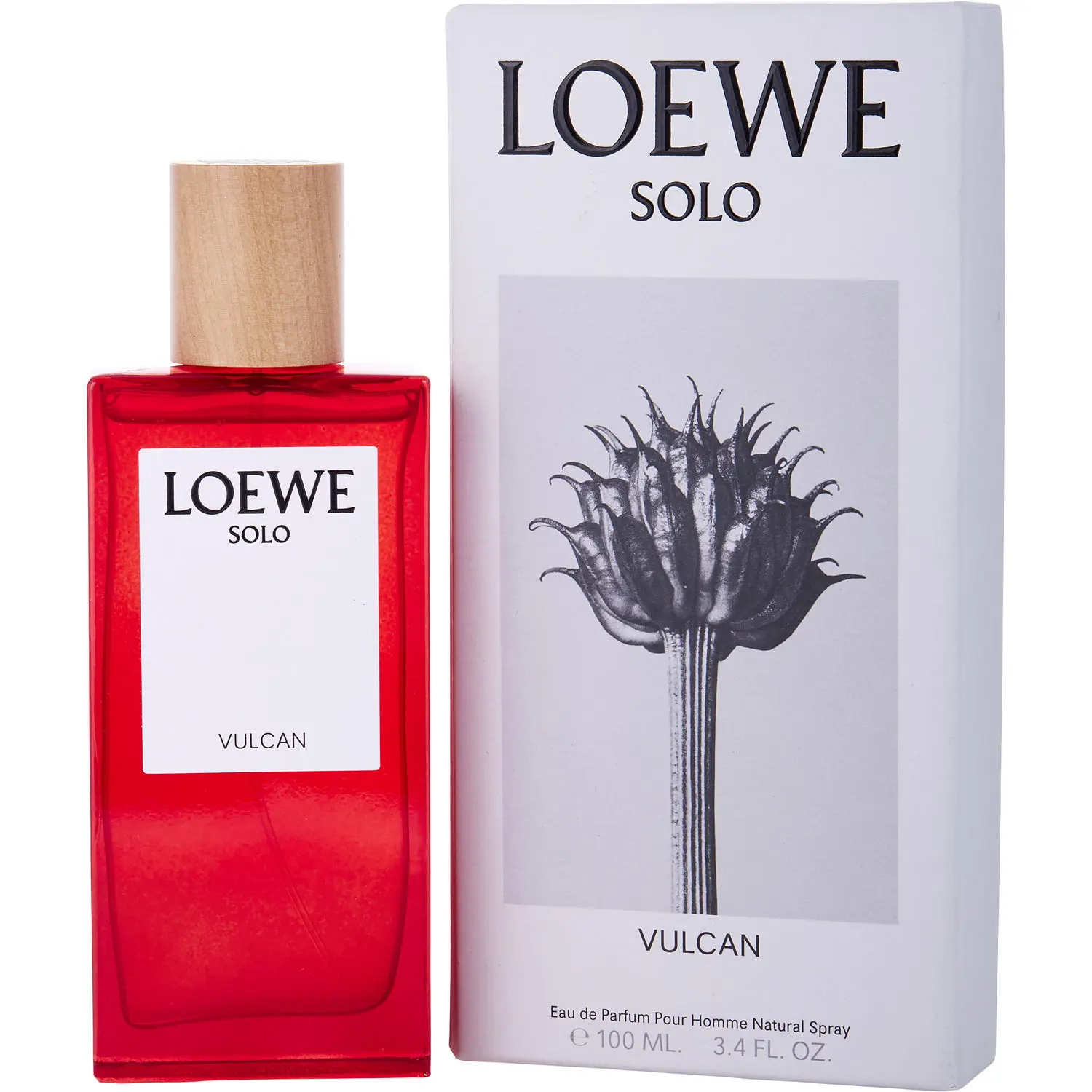 Solo Loewe Vulcan By Loewe Eau De Parfum For Men
