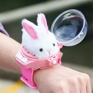 Mini Remote Control Car Watch Toys - Small RC Watch Racing Car with USB Charging, 2.4 GHz Detachable Design for Boys & Girls & Pets, Ideal Birthday Gift