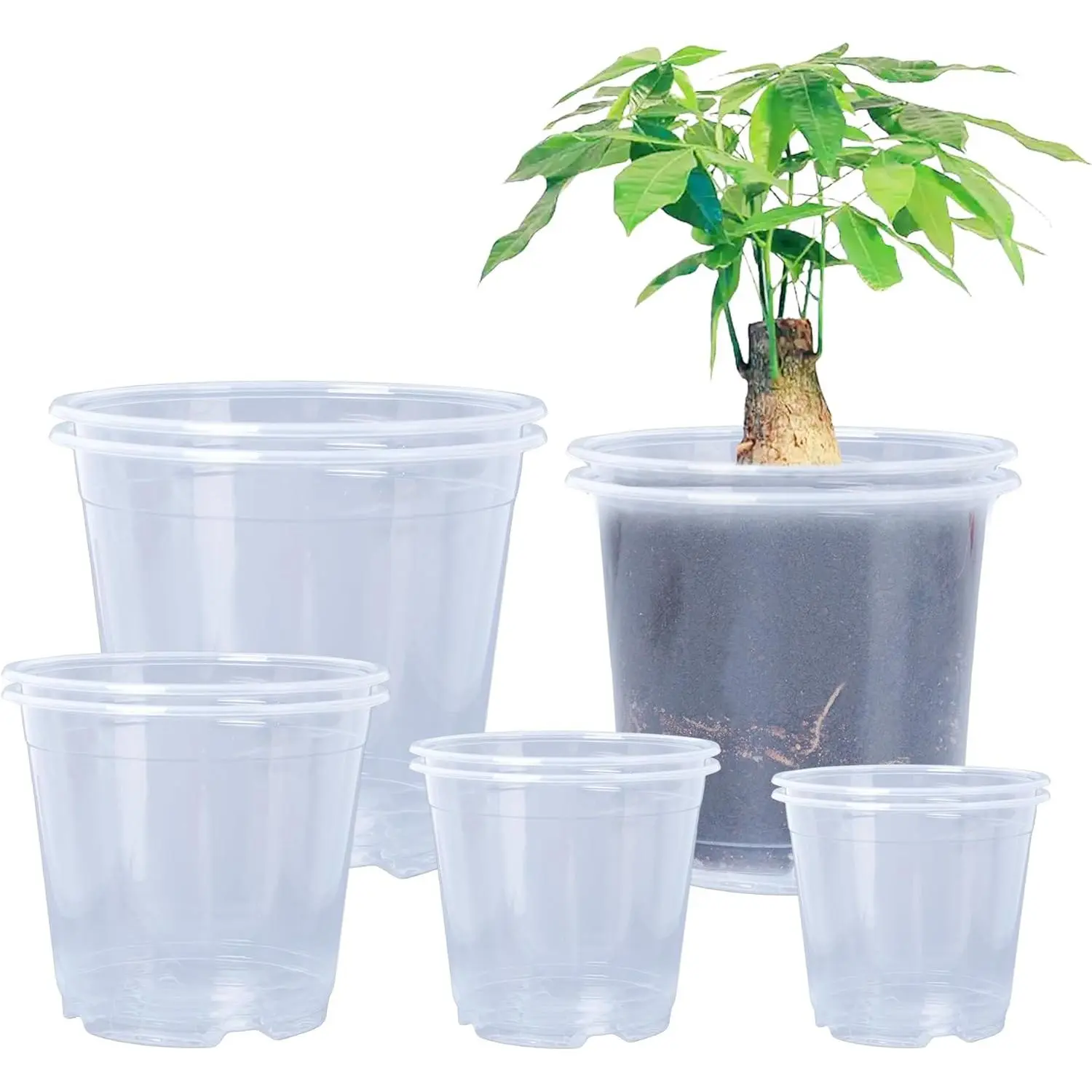 6.7/6/5/4/3.5 Inch Clear  Pots Variety Pack with Drainage Holes Transparent Plastic  Pot for  Seed Starter Planter Flower Pots 10 Packs