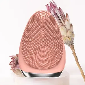 Face Cleaner Home Products Mini Black Hot Selling Facial Cleansing Brush Silicone