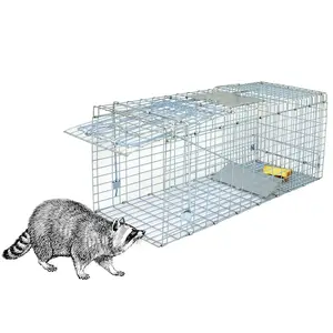 Humane Live Animal Trap Cage - 32"x12.5"x12" Heavy-Duty Metal Construction Cage for Raccoons, Skunks, Animal Containment & Safe Enclosure