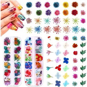 216PCS Dried Flowers - Nail Art Accessories Kits, 57 Color Lovely Natural Flowers for Resin Molds and Nails