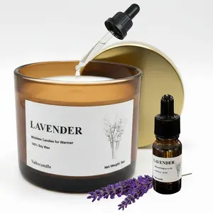 Lavender Wickless Candles for Candle Warmer Lamp, 9oz Soy Scented Candles & 10ml Essential Oil for Customizable Aroma, Wickless Lavender Candle for Warmer Lamp Birthday Housewarming Holiday Gifts