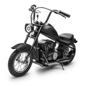 24V Electric Dirt Bike for Teenagers, 250W Kids Electric Motorbike, Supports Maximum Load of 130 Lbs