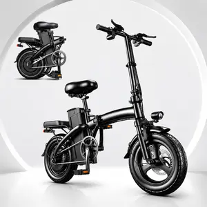 LOOKRUN G11 lookRun Adult Foldable Electric Bicycle, 650W Peak Power, 20 MPH Speed, Explosion-Proof Vacuum Tires, 28 Mi Cruising Range, Rear Disc Brake, 2 Seats, UL 2849 Certified, 1 Month Usage Compatibility, Adults