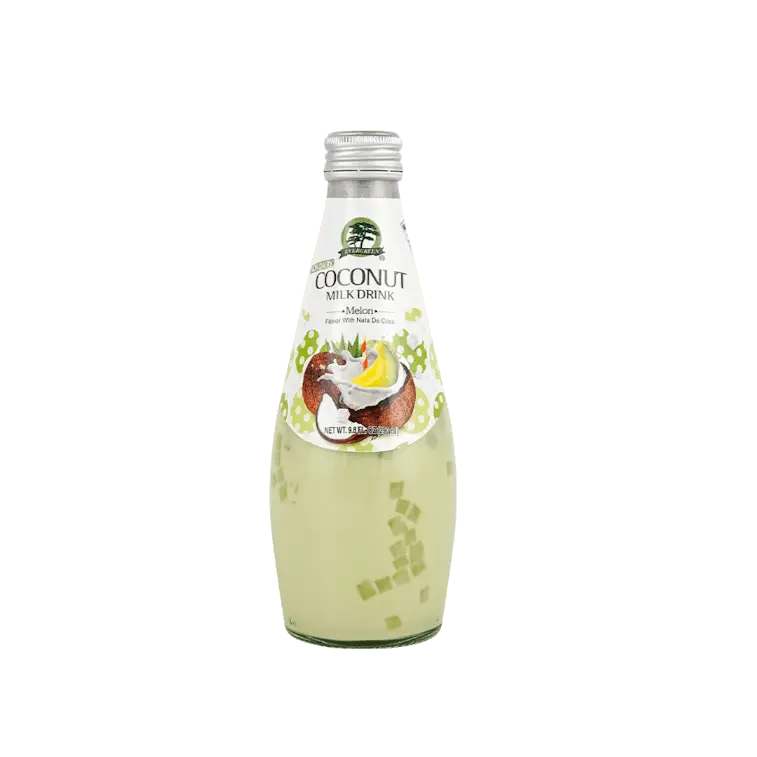 EVERGREEN Coconut Milk Drink - Melon Flavor with Nata De Coco, Protein-Packed, No Added Sugar, No Artificial Ingredients, Ambient Non-Dairy Beverage, 9.8oz, Store in a Cool Dry Place