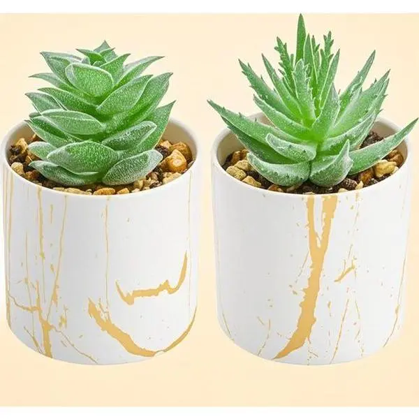 2-Pack Mini Artificial Succulents in Pots - Low-Maintenance Home Decor Ornaments with Faux Fruit Plastic Accents - Realistic Greenery for Office Desk, Kitchen Shelf, Room Decorations