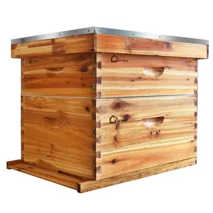 GAOMON 10 Frame Medium Super Bee Hive Box, 100% Beeswax Dipped Langstroth Honey Super – Includes Frames & Wax Foundations for Beekeeping Supplement