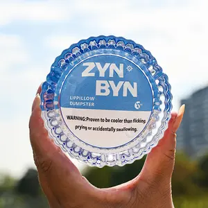 The ZynByn Lip Pillow Dumpster -New Perfect Gift for Him or Her to Cleanup in Style