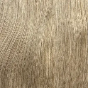 #9B Light Beige Blonde Virgin Remy Tape in Hair Extensions - 10 Pieces