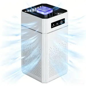 Negative Ion Air Purifier with Hepa Filter, 3 Levels Intelligent Adjustment, Energy Efficient, USB Powered, Air Purifier for Home, Home Office Use, Fumes, Pollen, Pet, Household Air Cleaner