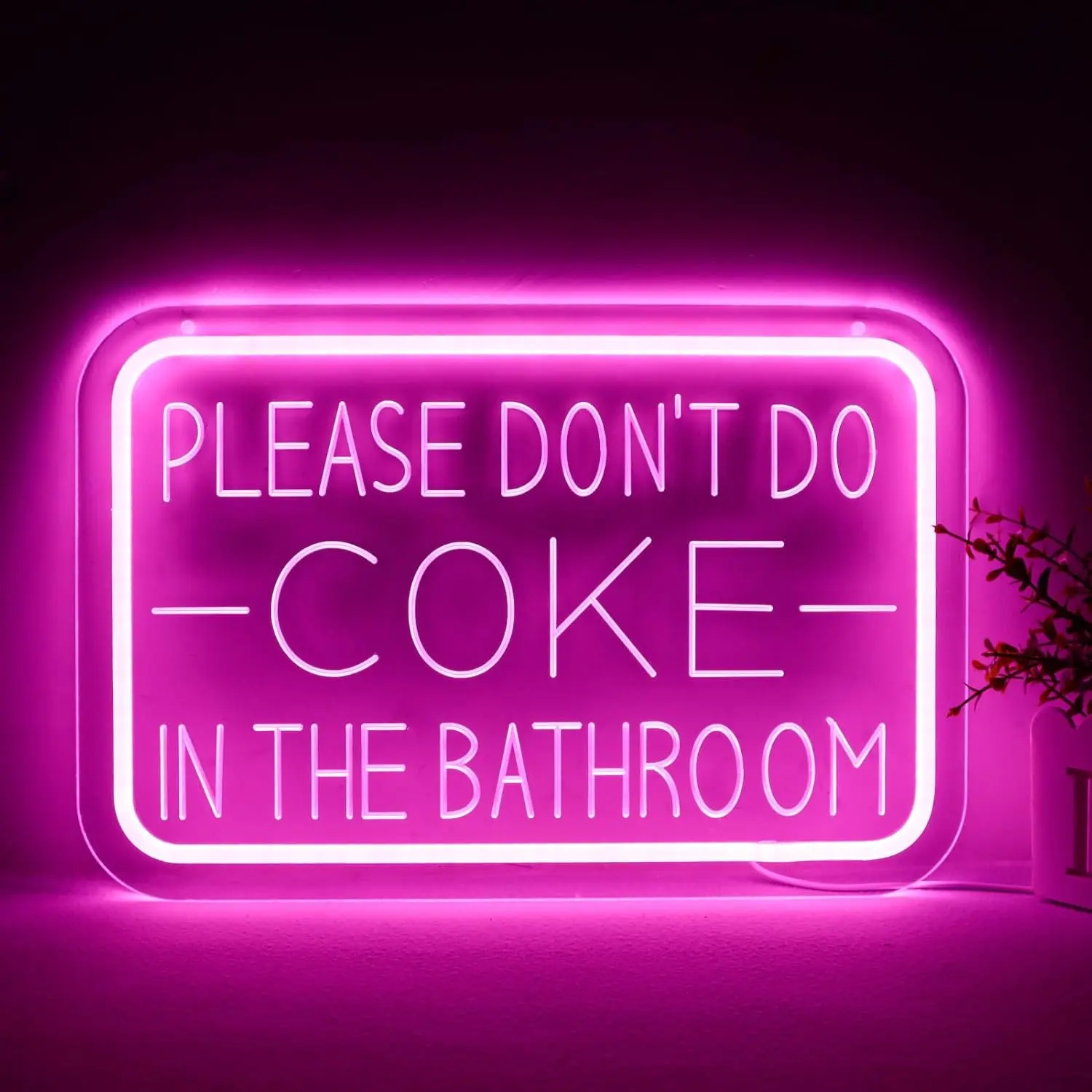 "Please Don't Do Coke in the Bathroom" LED Neon Sign with Acrylic Sheet & Hanger, Low Heat Unique Decor, Wall Decor for Teen Boys, Party Lights Decoration for Bar Restroom by Summerwins, Room Decor, House Decor