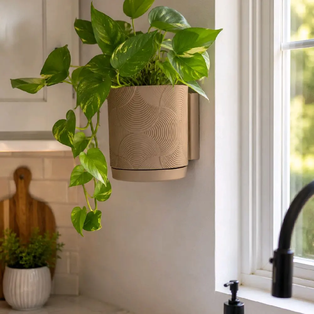Modern Wall-Mount Planter with Screw-On Drip Tray | 3D Printed Indoor Plant Pot