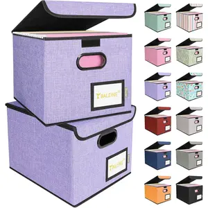 File Organizer Box with Lid, Collapsible File Folder Organizer with Plastic Slide, Hanging File Folder Box for Office Document Storage (2 Pack, Purple)