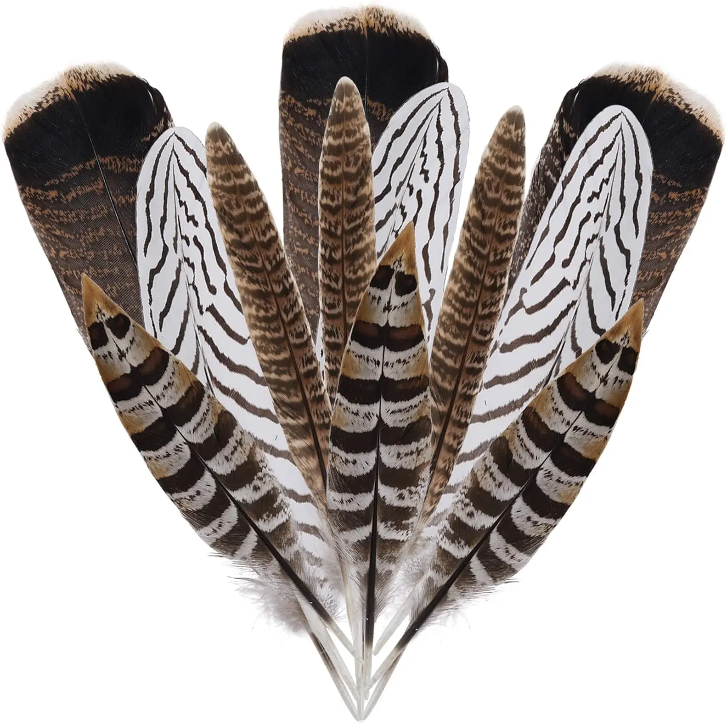 12Pcs Natural Pheasant Feathers 10-30cm 4 Style Feathers Mixed Feathers for DIY Craft Wedding Home Party Decorations