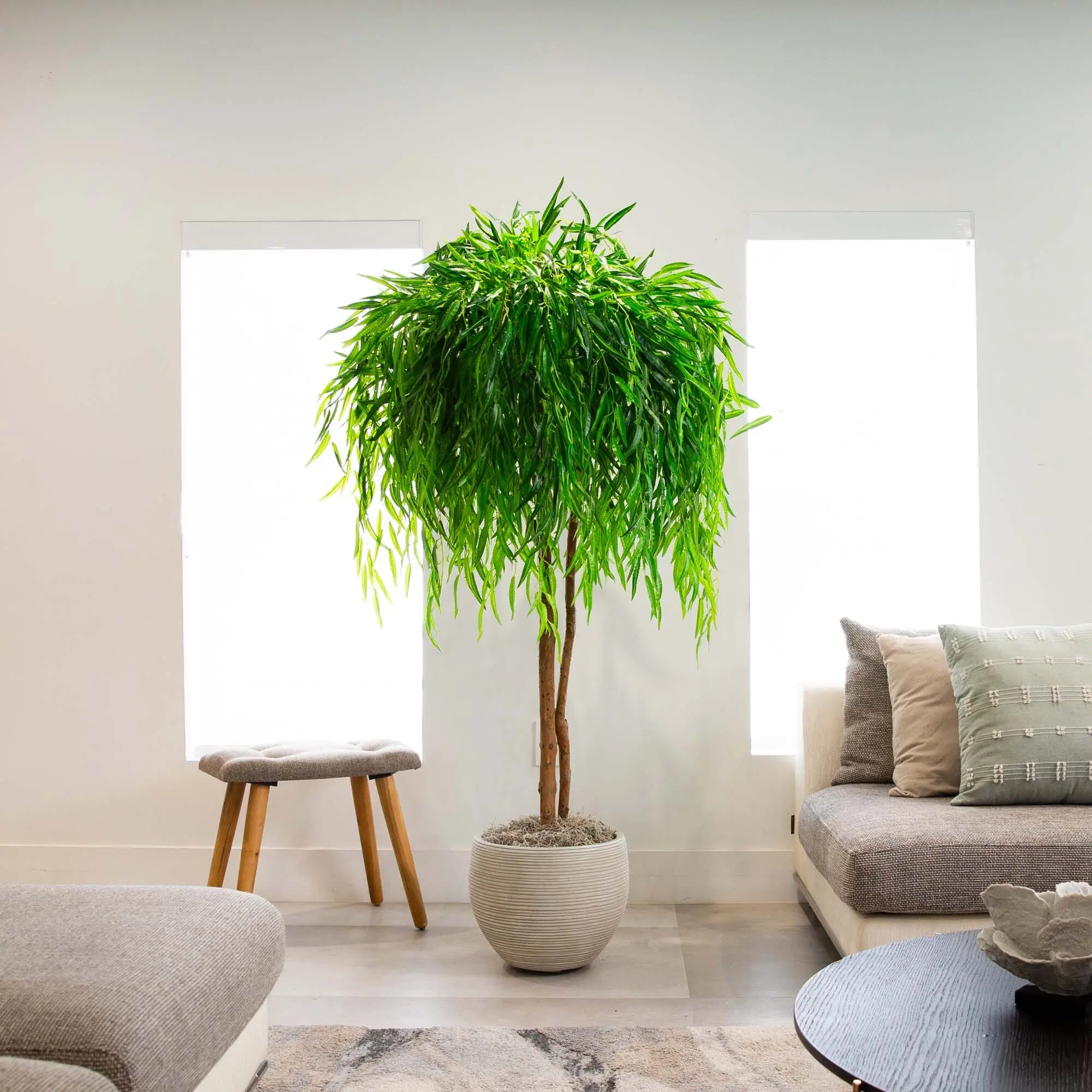 8ft Real-Touch Synthetic Willow Decorative Floor Artificial Tree, Faux Plant with Natural Look, Real-Touch Leaves & Lifelike Texture for Home Decor Bare Corners