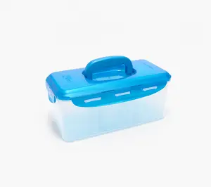 LocknLock Divided Rectangle W/ Handle Lid