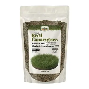 Old Cobblers Farm Wicked Tuff Turf Reed Canarygrass (Grasses) (5 lbs | 10 lbs | 15 lbs | 20 lbs)