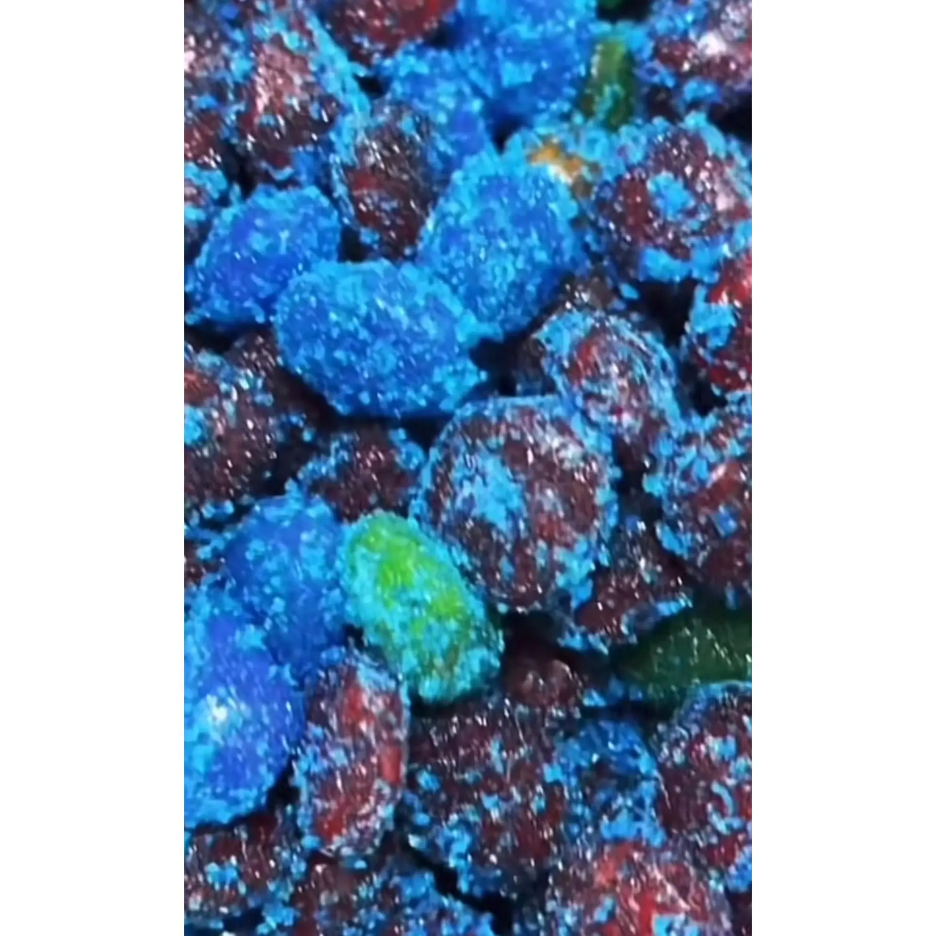 Blue raspberry gushers Blue raspberry gushers