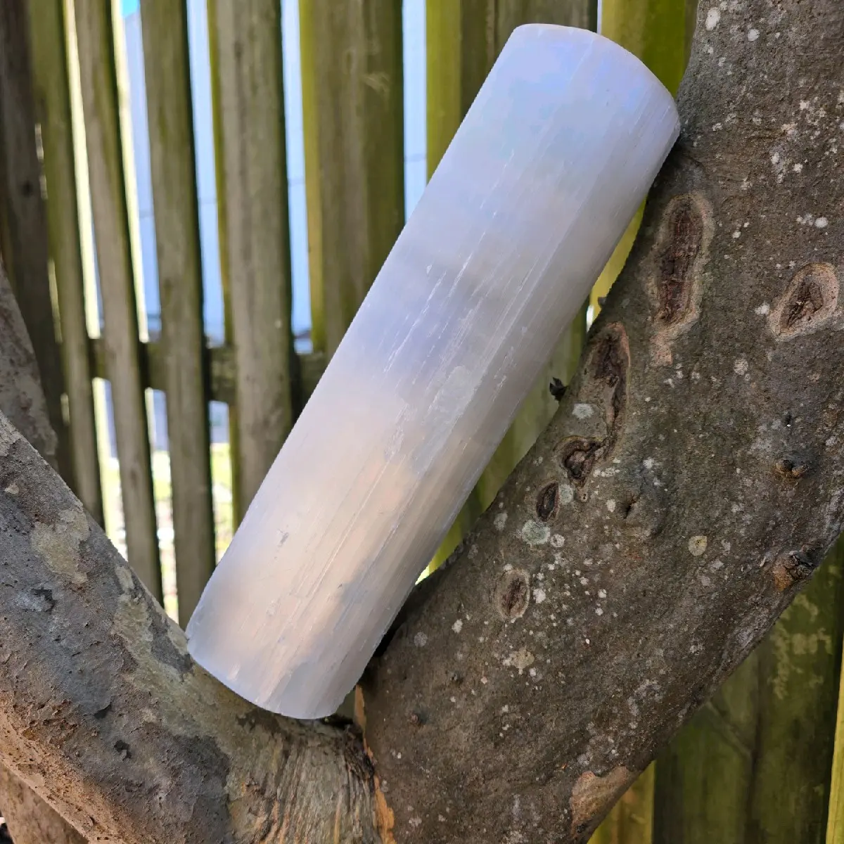 Selenite Cylinder Lamp