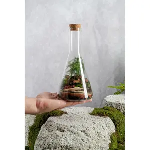 Flask XL Terrarium