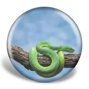 The Emerald Strike: 3D Textured Sense-X Disc
