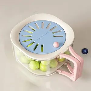 Double-Layer Drain Basket, Foldable Handle Fruit Drainer, Vegetable Washing Bowl, Multi-Functional Food Filter, Refrigerator Storage Basket