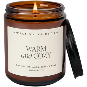 Warm and Cozy Soy Candle - Orange Peel, Cinnamon, Ginger and Clove Scented Candles for Home - Sweet Water Decor