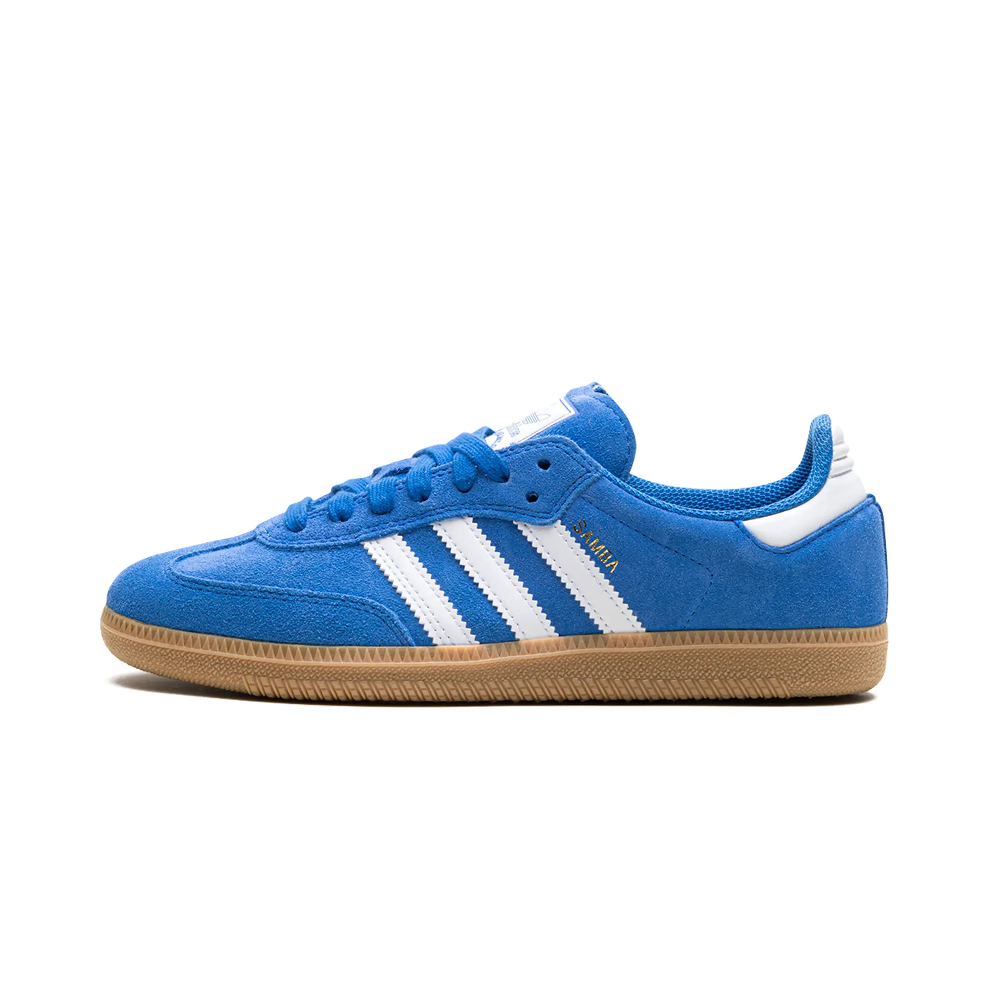 Samba Adv "Blue Bird" JP5719