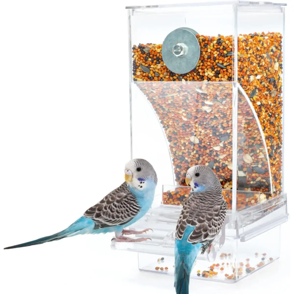 Automatic Bird Feeder Transparent Acrylic Container Cage for Small Birds Parrots Canaries with 360° View Arc-Shaped Sliding Design Mess-Free Feeding System