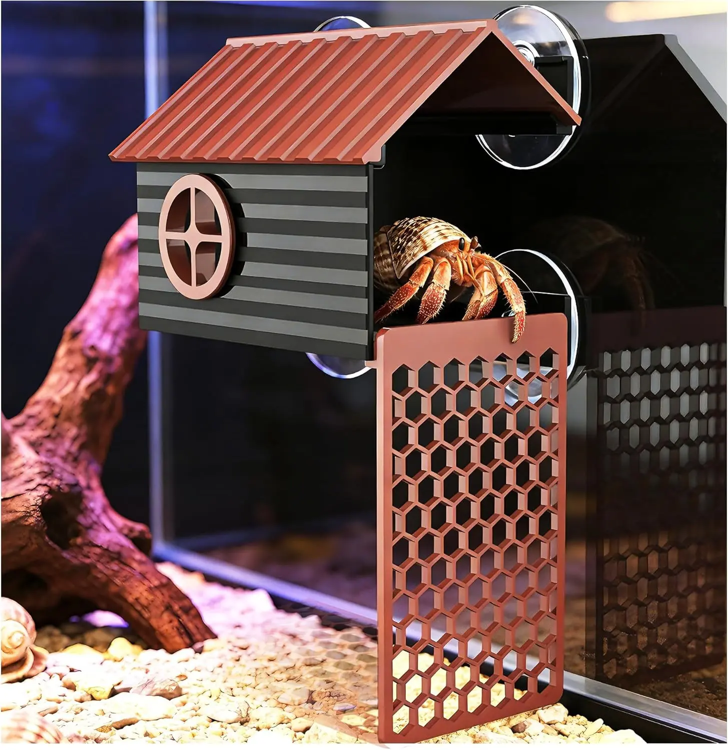 Hermit Crab Accessories | Hermit Crab Climbing Toys with Climbing Wall | Multi-Functional Hermit Crab Hideaway & Foraging Cave with Ladder | Hermit Crab Cage Decorations