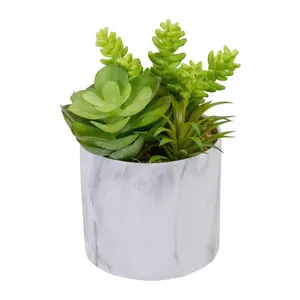 Northlight 6.5" Artificial Succulents in Faux Marble Pot Northlight 6.5" Artificial Succulents in Faux Marble Pot