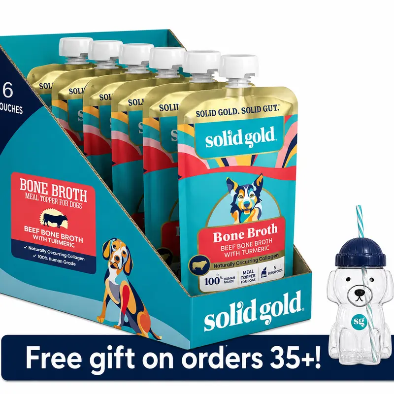 Solid Gold Bone Broth Topper for Dogs - Nutrient-Rich Flavor with Turmeric for Picky Eaters - Made in USA - 6 Pouches