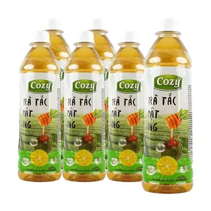 Cozy Vietnamese Kumquat Honey Tea 455ml - 6 Pack Value Bundle