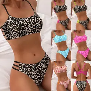 2026 New Sexy Leopard Print Two-Piece Bikini Swimsuit for Women