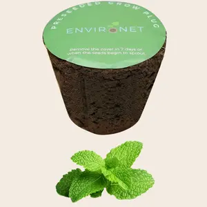 3" Preseeded Herb Seeds Starter Plug - Mint